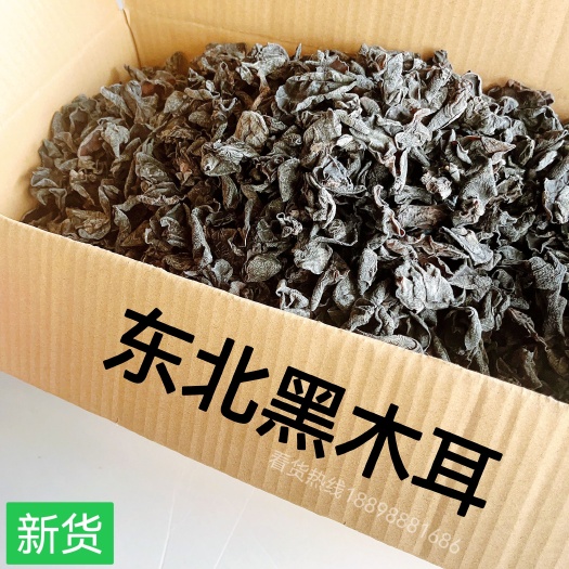 广州东北黑木耳产地货源批发地摊跑江湖农产品散装干货秋木耳小黑木耳
