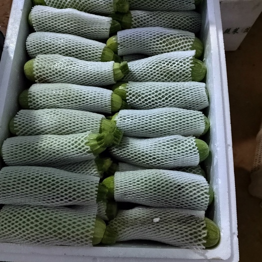 昆明云南蔬菜小瓜，产地发货，一手货源充足，冷库打冷，加工