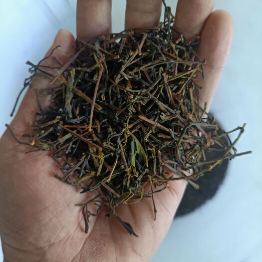 饶平县乌龙茶蜜兰香茶头，茶根