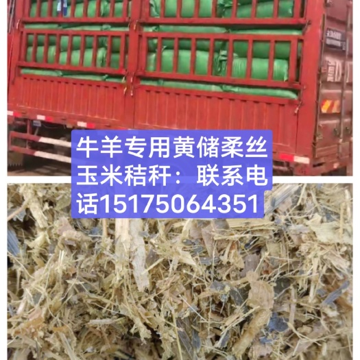 曲周县青储玉米秸秆采用断草切碎机切碎是养牛羊驴鹿的上好饲料