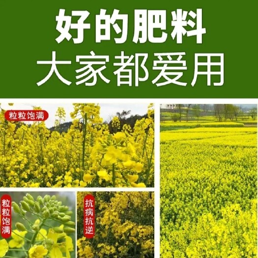 青州市促开花，提苗壮苗，茎杆粗壮，多结荚多出油，粒粒饱满