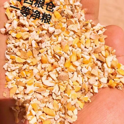 郓城县碎玉米