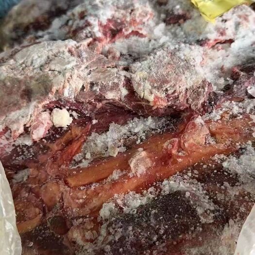 呼和浩特蒙古马肉五分体马肉