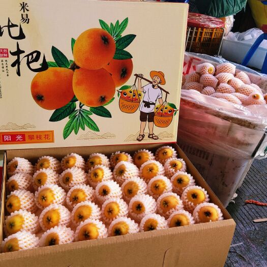 米易县枇杷，甜味十足