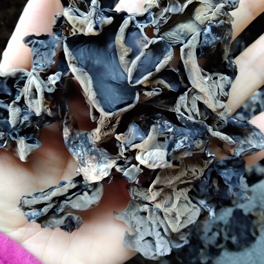 海林市东北黑木耳，原货，出菜率高