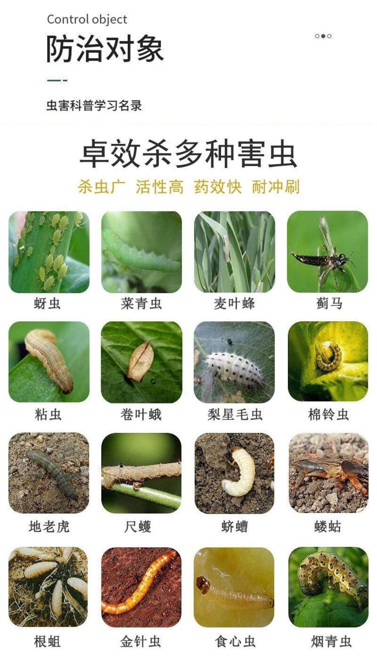 辛硫磷蚜蟲薊馬菜青蟲食心蟲蠐螬地下害蟲果樹花卉蔬菜農(nóng)藥殺蟲劑