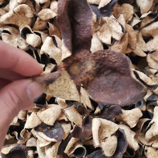 江门5年落地陈皮