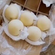 赵县黄冠梨