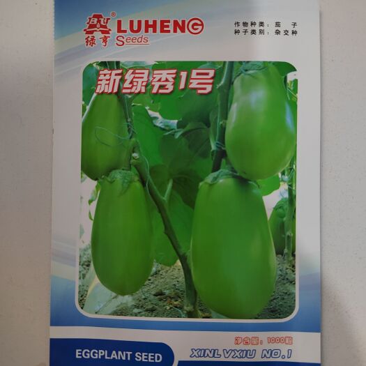 华容县新绿秀1号绿茄种子早熟果长卵圆形果重500-1000g油绿