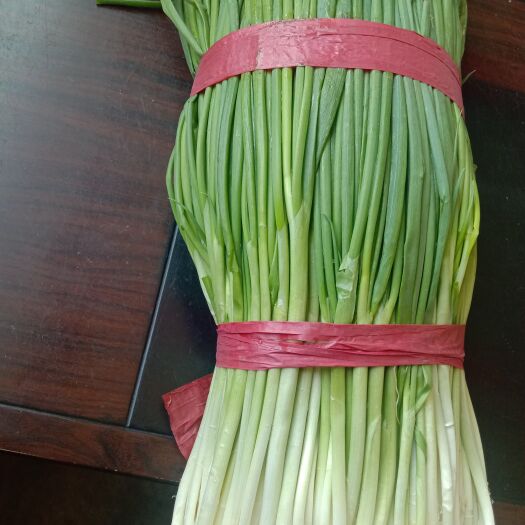 精品小香葱，量大质量好，欢迎采购