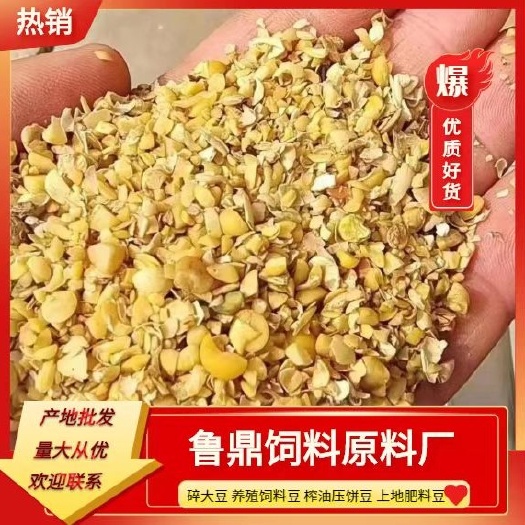 临清市碎大豆