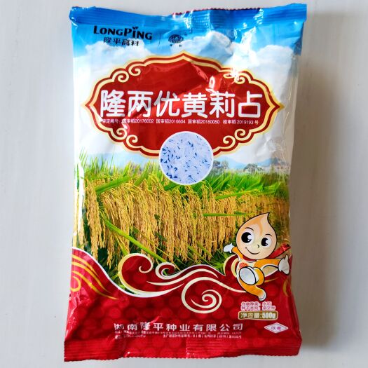 武汉隆平高科隆两优黄莉占一季中稻杂交水稻种子  出米率高