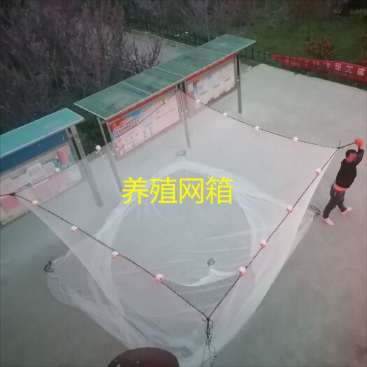 沭阳县水产养殖网箱龙虾吊水网鱼苗存网免费拿样尼龙聚乙烯网箱