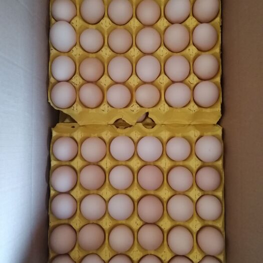 大中小码粉蛋土鸡蛋 双色到位罗曼海兰灰箱装360枚 全国发货