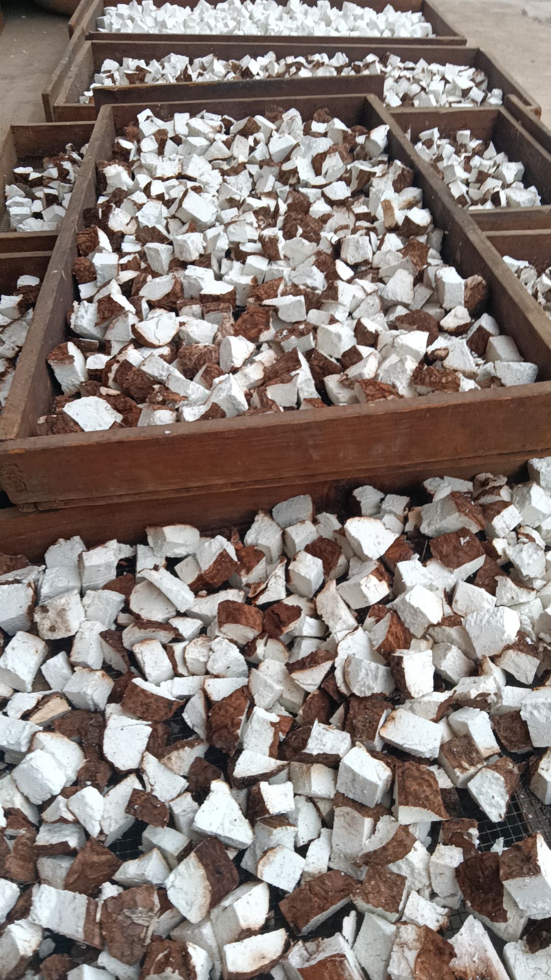 云南带皮白茯苓干货，无硫磺支持无硫检测欢迎广大客户下单