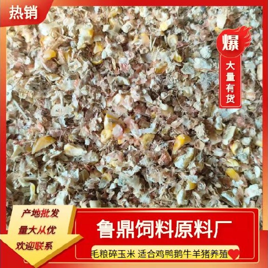 郓城县碎玉米，适合鸡鸭鹅牛羊猪养殖使用。饲料厂加工