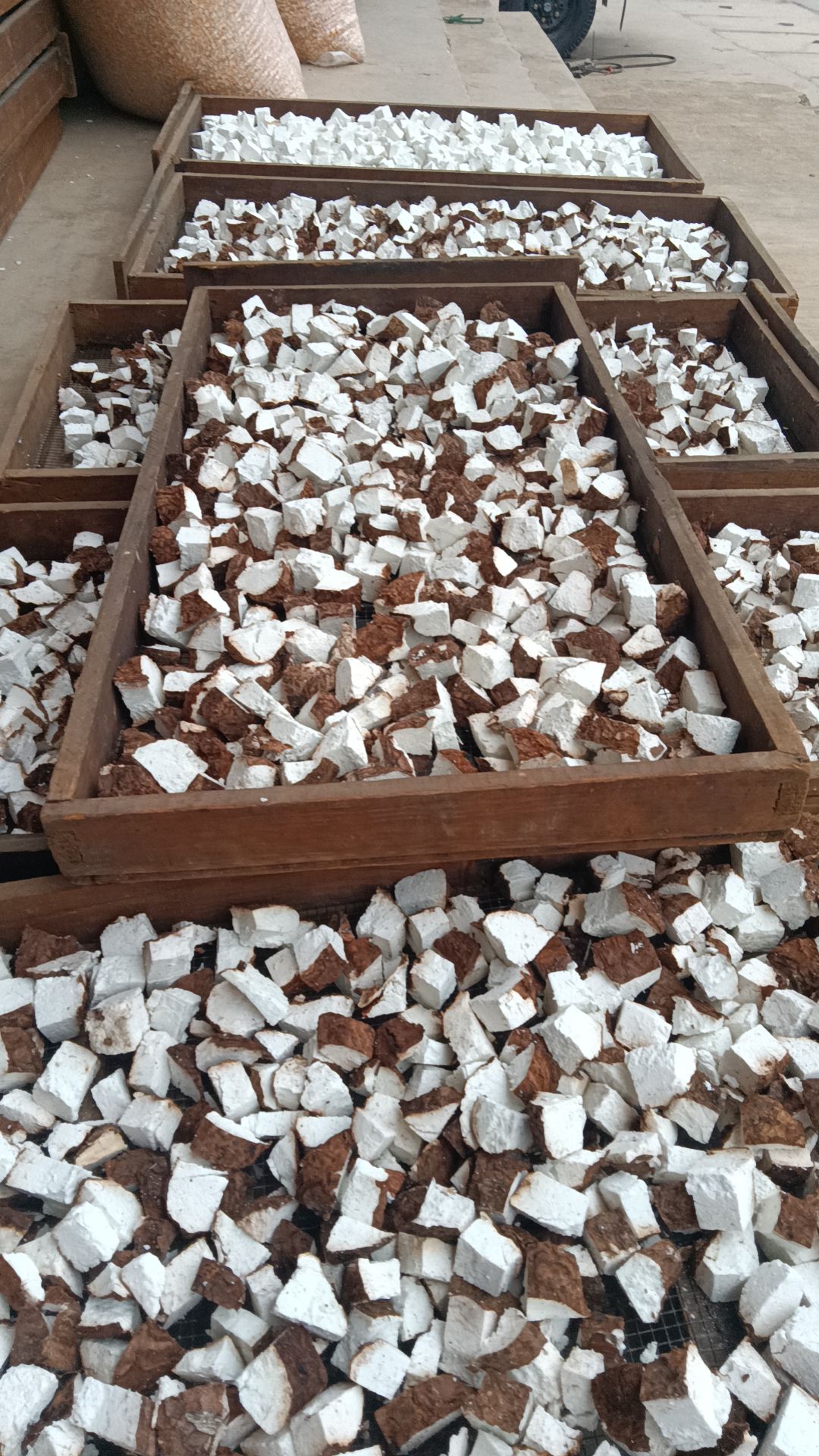 云南带皮白茯苓干货，无硫磺支持无硫检测欢迎广大客户下单