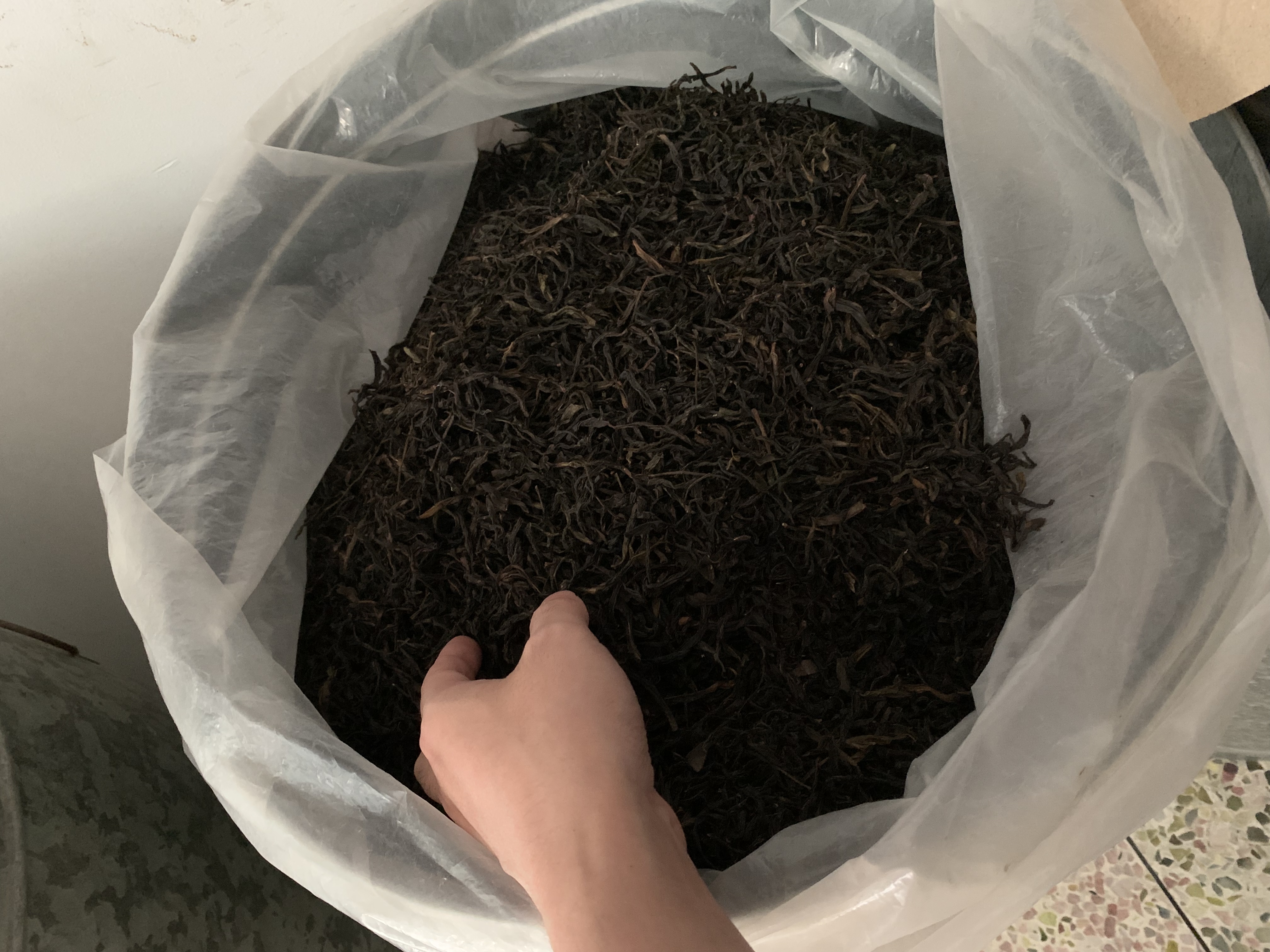 高山鳳凰單樅茶商行