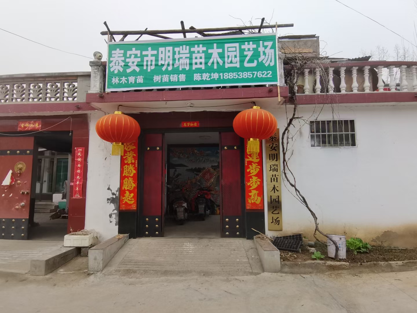 泰安明瑞苗木園藝場(chǎng)