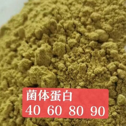 石家庄菌体蛋白肽