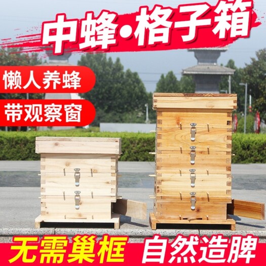蜂箱中蜂格子箱蜜蜂蜂箱杉木全套养蜂工具土蜂桶五层格子蜂箱