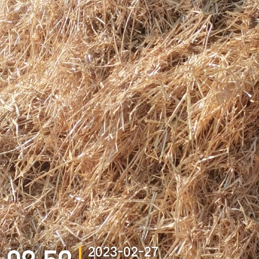 宿州优质小麦秸秆