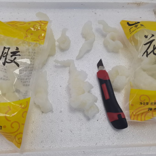 成都厂家供应花胶冷冻小龙胶500K佛跳墙花胶鸡原料半成品厂家现货