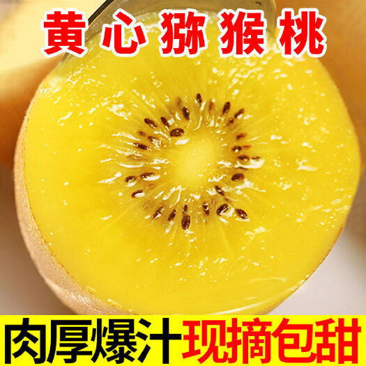 西峡县【一件代发/包邮包赔】河南黄心金桃猕猴桃/产地源头