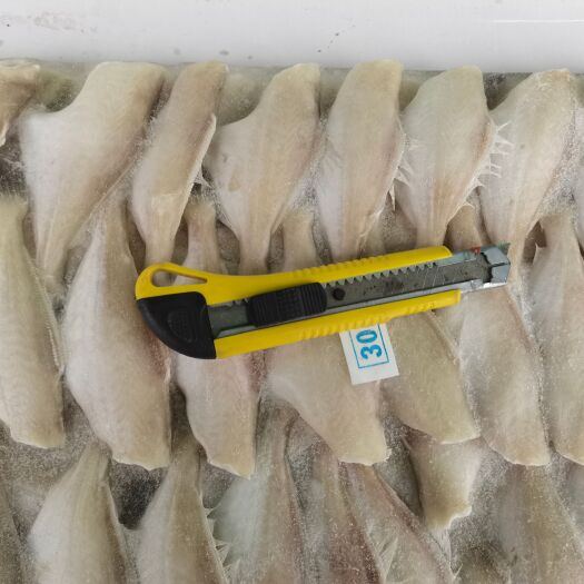 成都冷冻薄冰30-50耗儿鱼批发扒皮鱼火锅食材鲜活马面鱼剥皮鱼