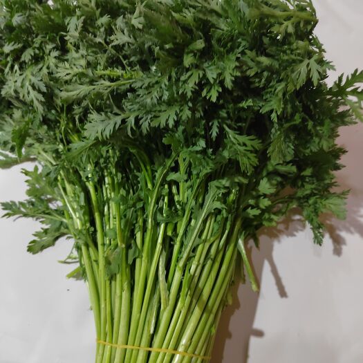 昆明云南蔬菜茼蒿菜，产地发货，一手货源充足，冷库打冷，加工