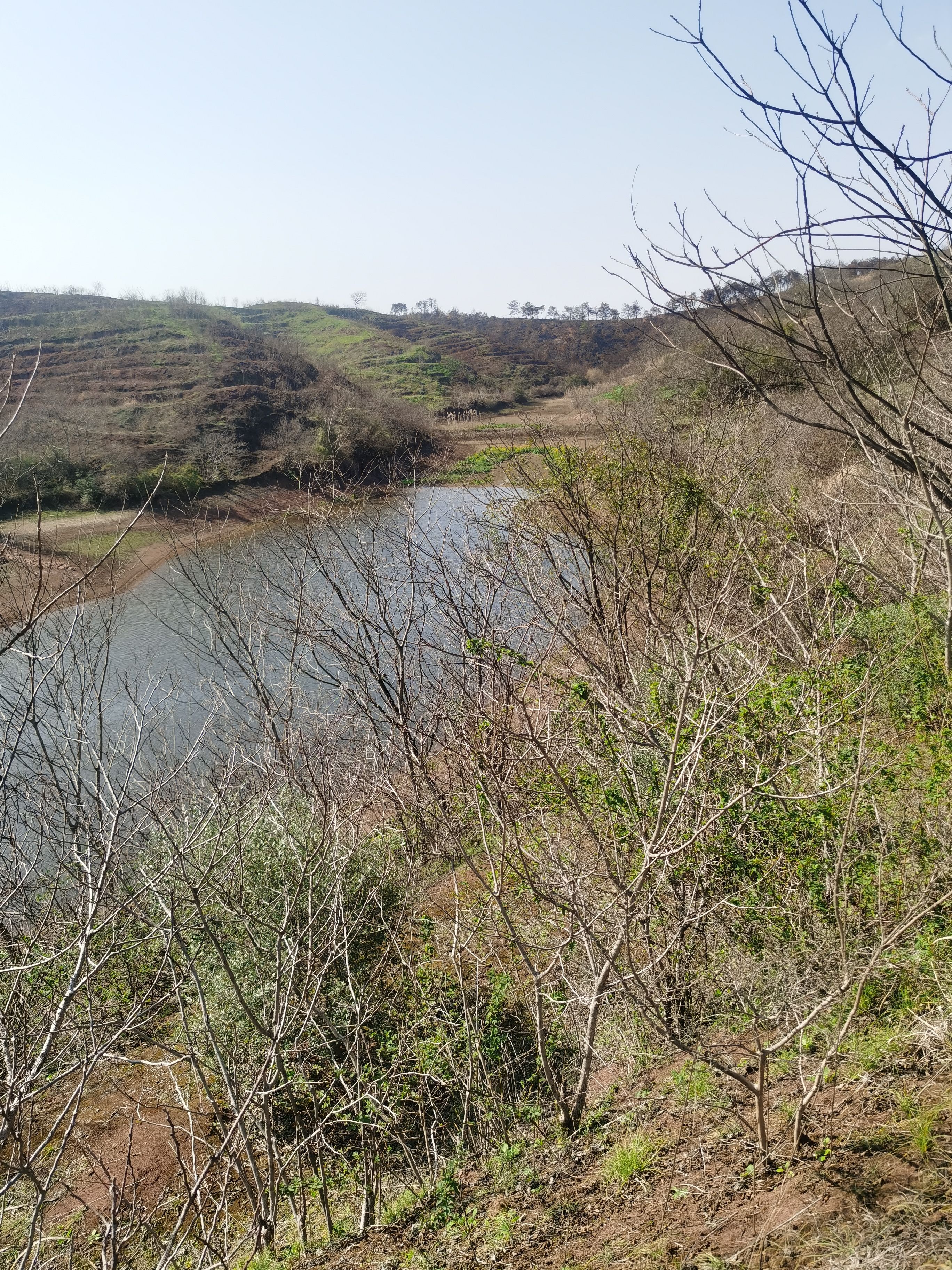 3000亩山地出租流转