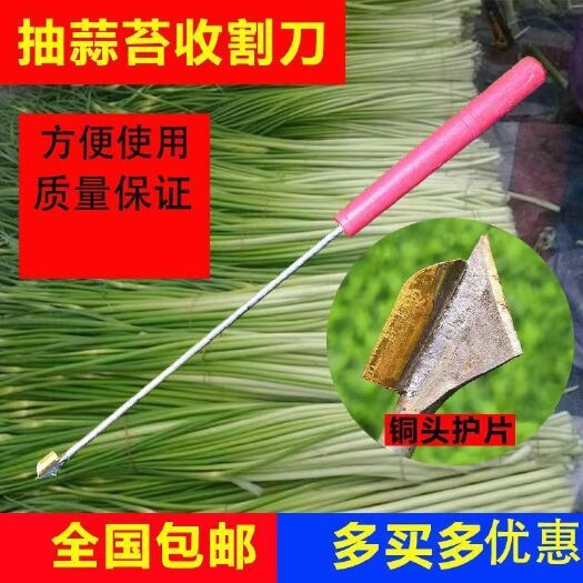 连云港抽蒜苔剥蒜苔器打蒜台的工具划蒜苔快速拔剔蒜薹提摘蒜苔收割刀