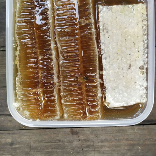 广州野生蜂巢蜜，现割现卖，