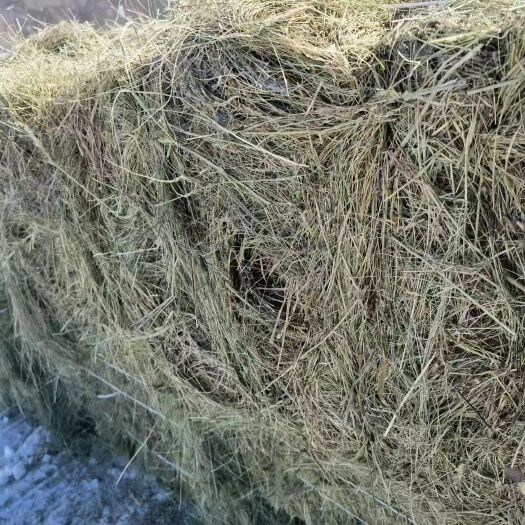 呼伦贝尔呼伦贝尔大草原干草饲料成捆