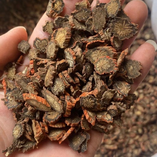 紫丹参片  菊花心 紫丹参片