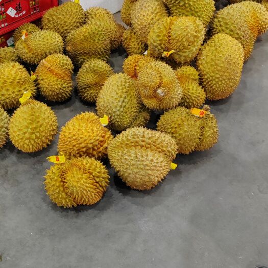 龙州县泰国金枕榴莲