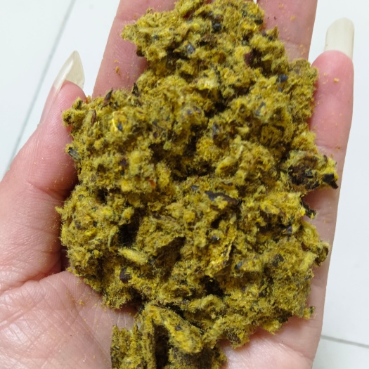 无极县全脂棉籽饼 蛋白20多 代替豆粕等高价位原料