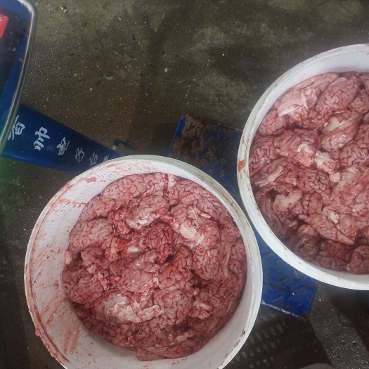 河间市羊脑