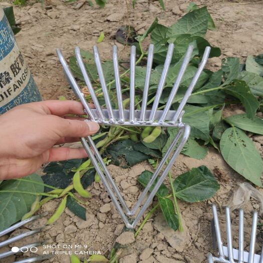 毛豆筛子剥豆剥皮器农用纯摘豆角器新款剥皮器