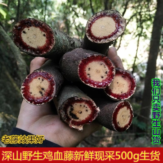 连州市中草药新鲜鸡血藤现采小血藤500g血风藤五味子小叶鸡血藤滋补