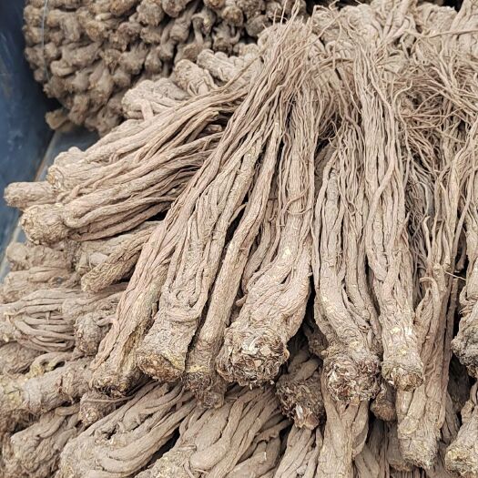 岷县主营岷县当归，党参，黄芪中药材，货源充足！