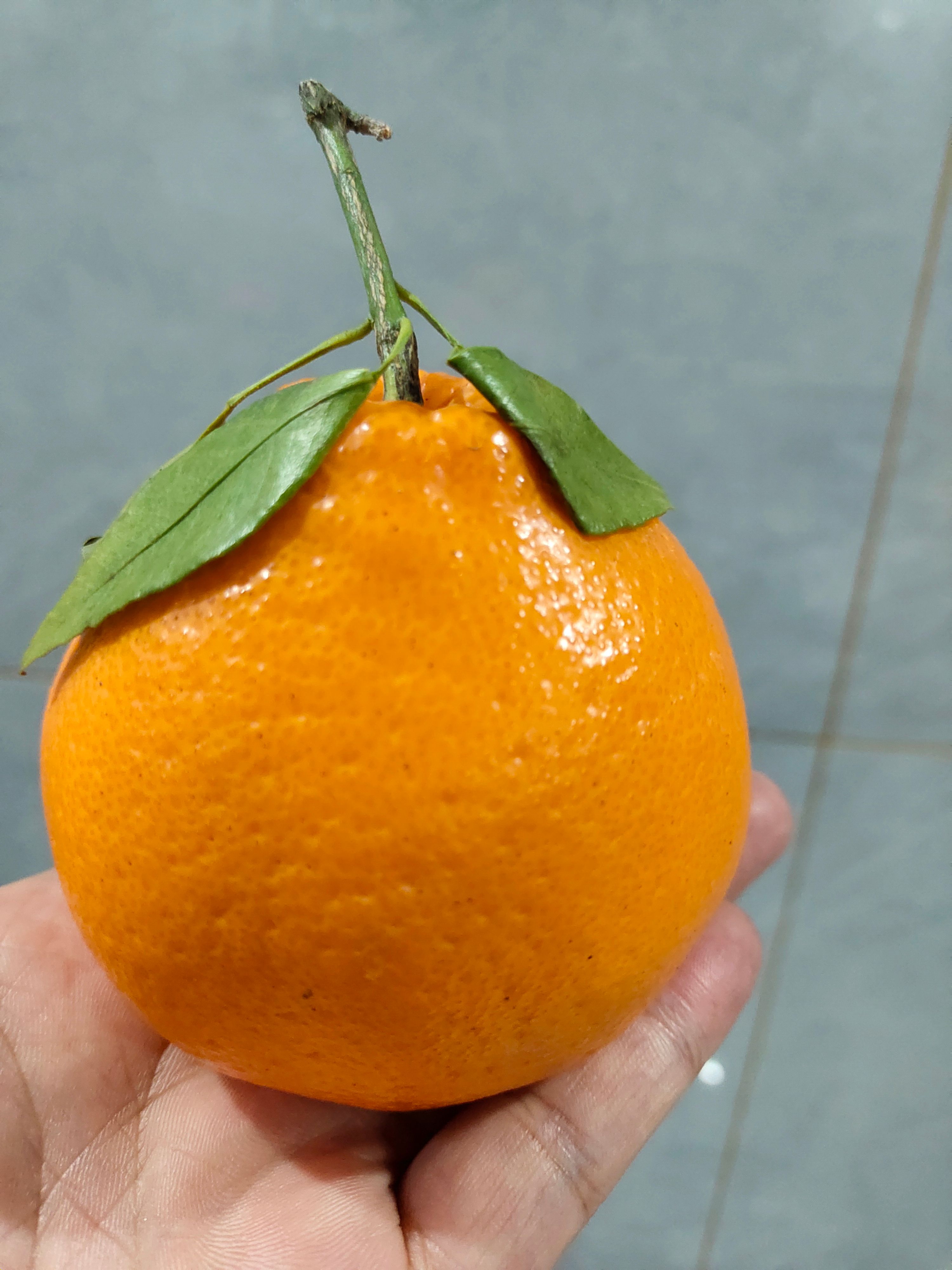 【有机认证】精选春见耙耙柑无化肥无农药自然熟果园直发