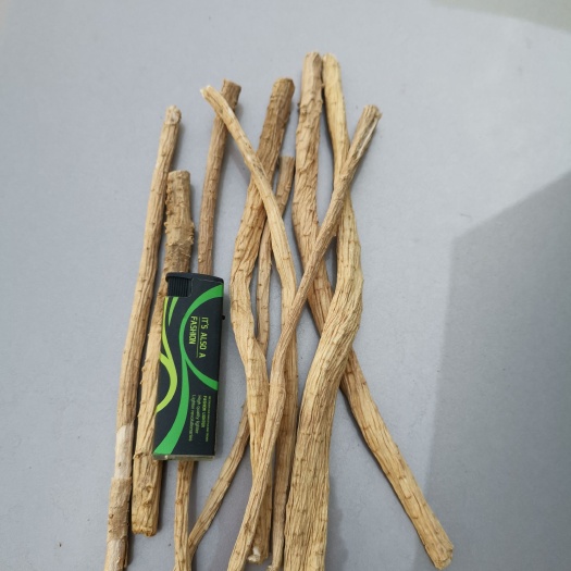 亳州内蒙防风选条