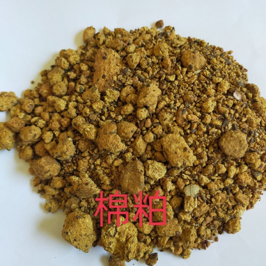 石家庄棉粕
