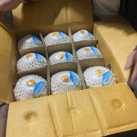 澄迈县泰国香水椰青随机发货