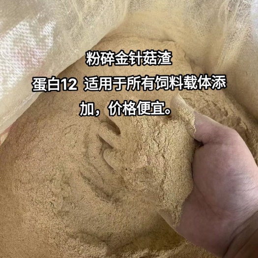 东光县金针菇渣