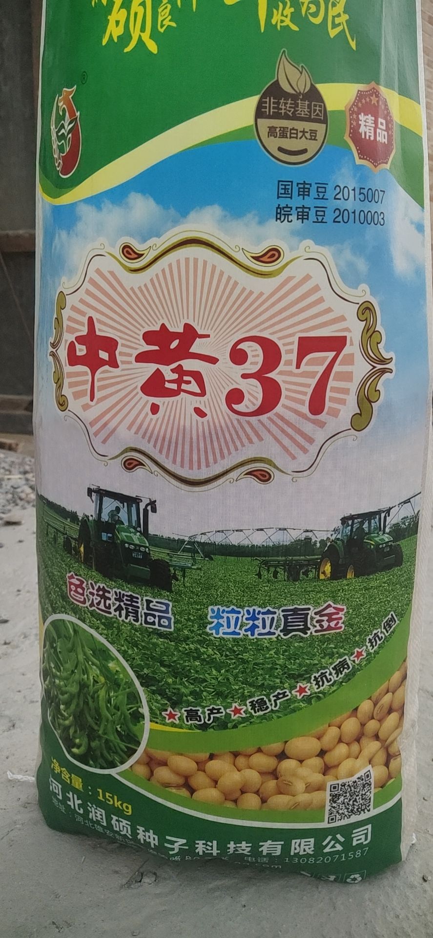 大城县黄豆种子