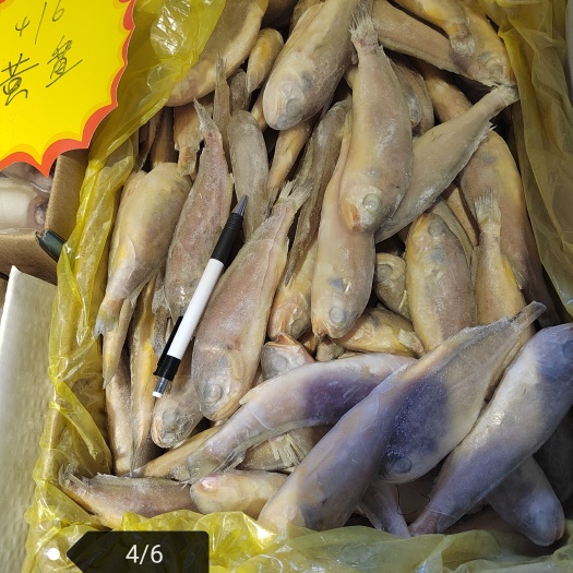 重庆市黄花鱼烧烤专用