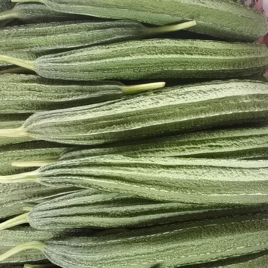 广州广东蔬菜