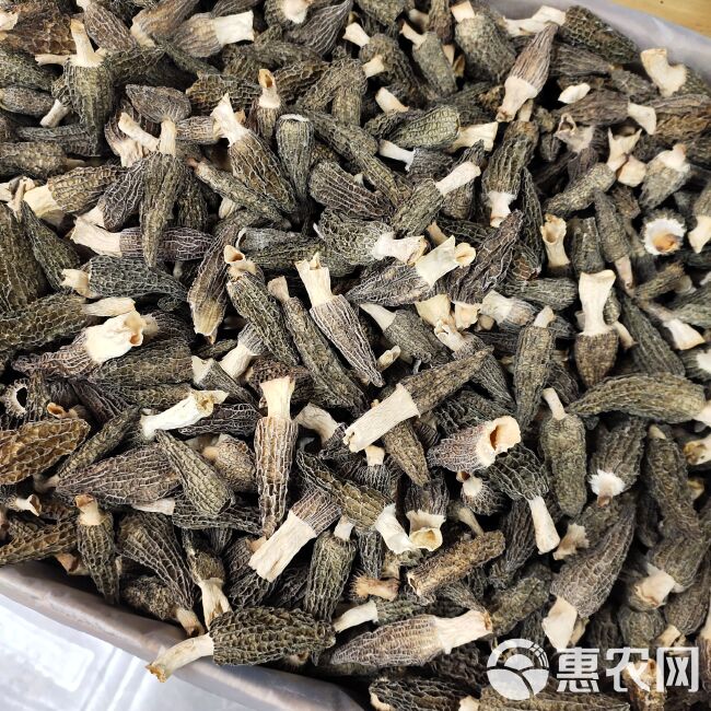 羊肚菌干货煲汤食材滋补菌类特产